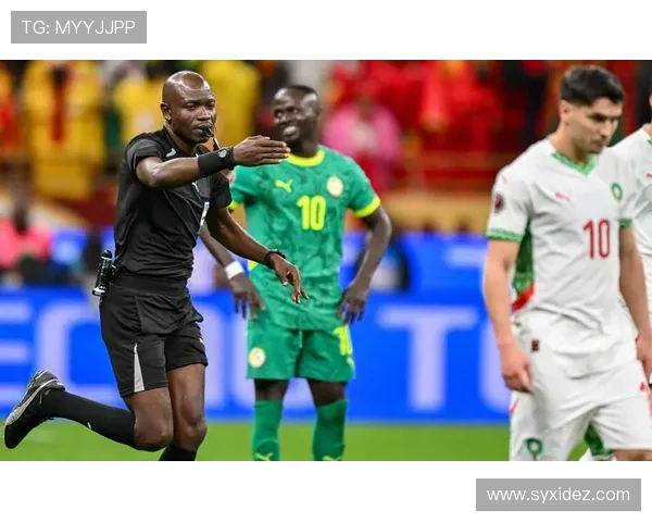 非洲杯冲突贝尔加利被停赛四场