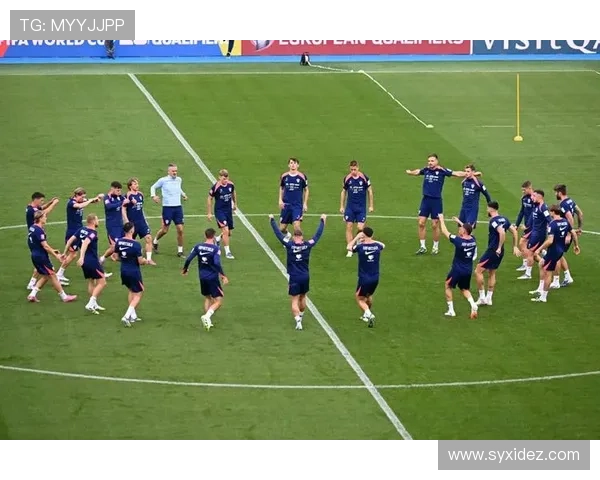 斯塔尼希奇拼抢受伤提前离场训练